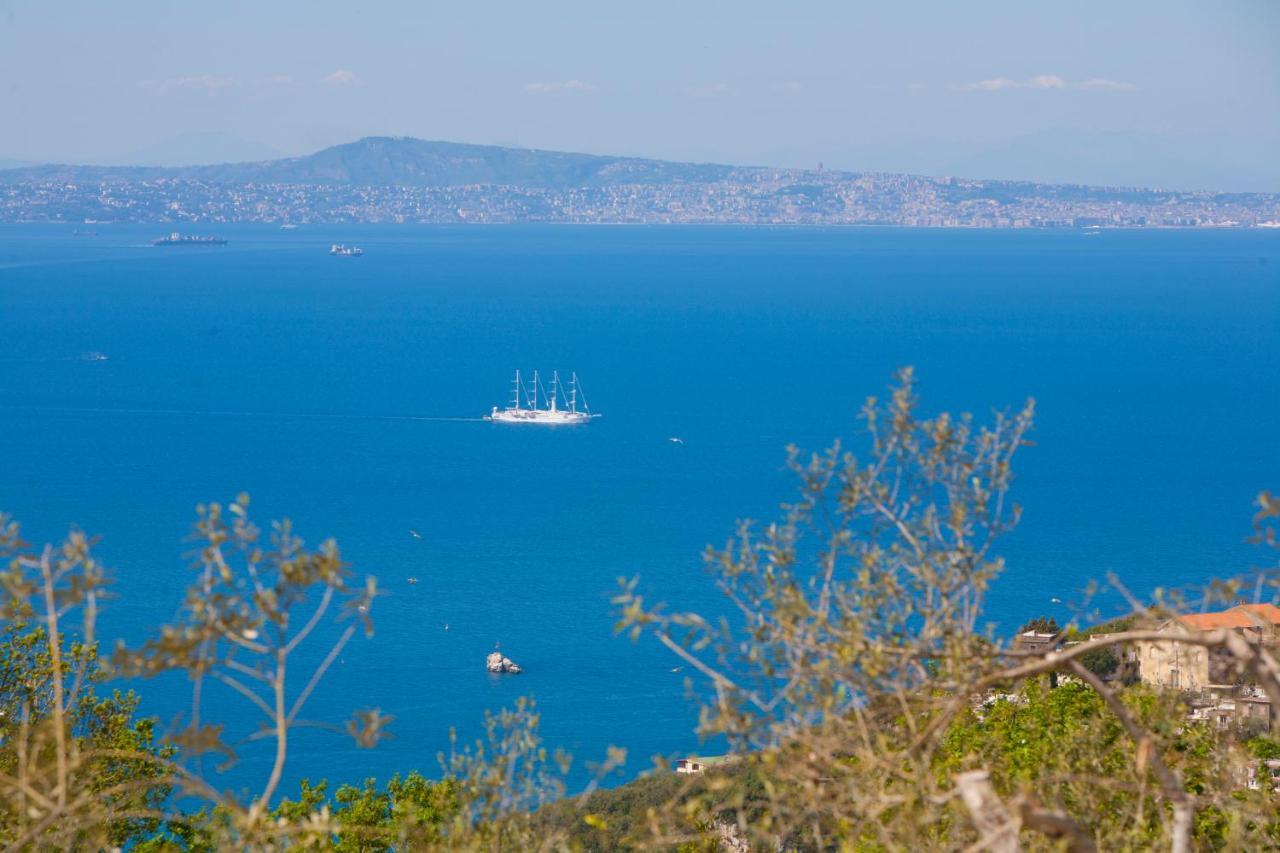 Villa Venus In Penisola Sorrentina Massa Lubrense Kültér fotó