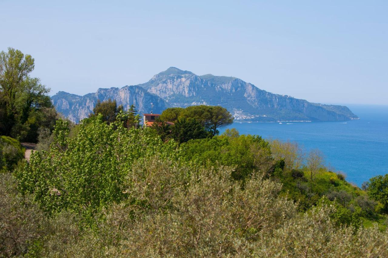Villa Venus In Penisola Sorrentina Massa Lubrense Kültér fotó