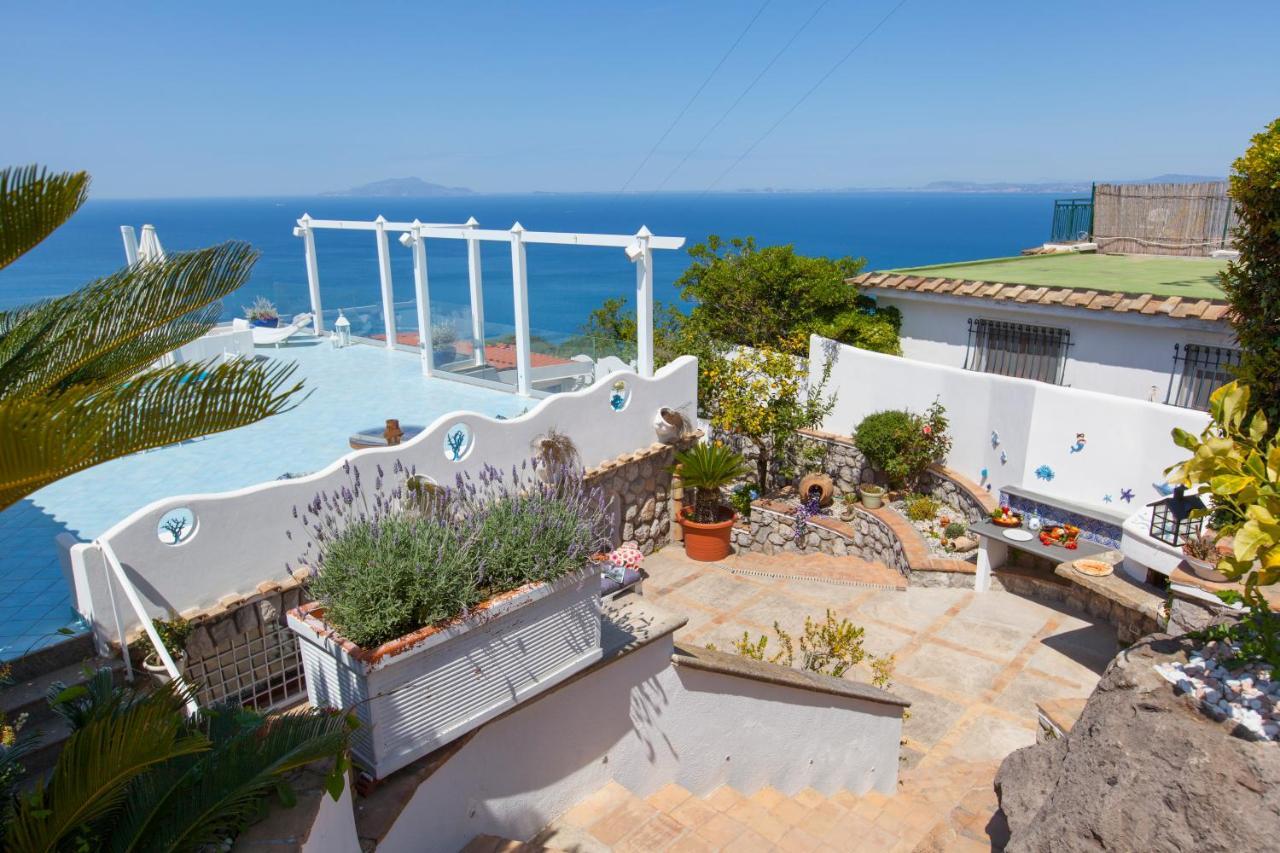 Villa Venus In Penisola Sorrentina Massa Lubrense Kültér fotó